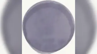 3D肉蒲团之极乐宝鉴