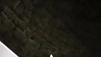 黑獸 5