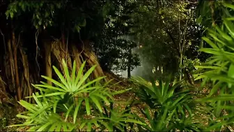 灵蛇爱 แม่เบี้ย #泰国三级